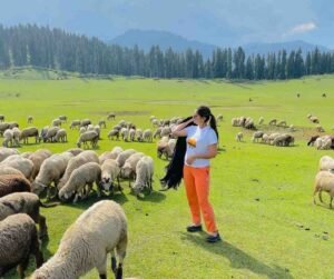 Sonamarg Excursion