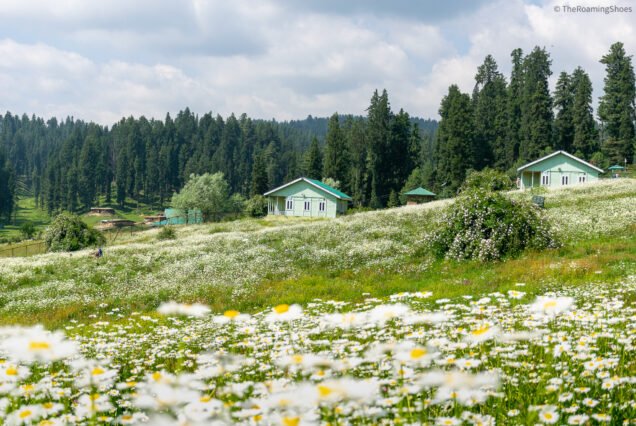 Jammu-Kashmir Image