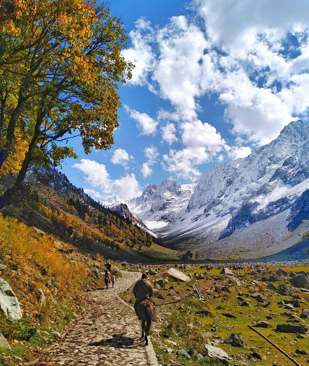 Sonamarg Image