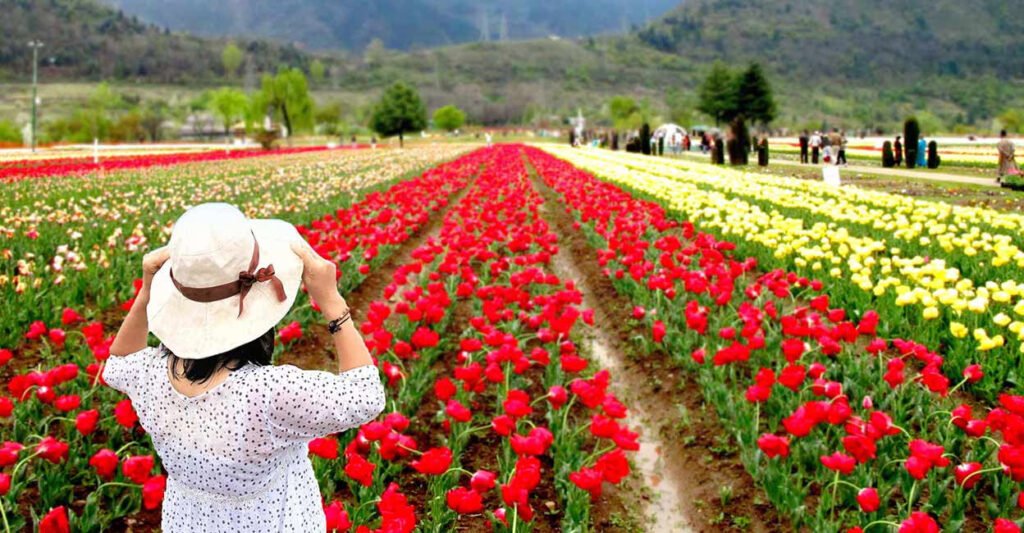 Indira Gandhi Tulip Garden